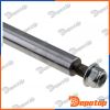 Amortisseur de suspension arrière gauche pour BMW | A-BM-013, 37106869023